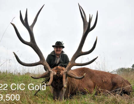 wta_2216_2013_10_Red Stag_222 CIC pts - 17 tines - Gold Medal_Guy G.