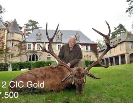 wta_2216_2013_11_Red Stag_212 CIC pts - 14 tines - Gold Medal_Jean Pierre
