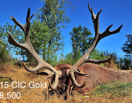 wta_2216_2013_1_Red Stag_215 CIC pts - 20 tines - Gold Medal_Patrick G.
