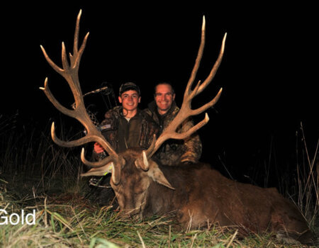 wta_2216_2013_47_Red Stag_202 CIC pts - 17 tines - Gold Medal_Carlos R. (1)