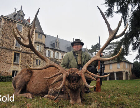 wta_2216_2014_30_Red Stag_198 CIC pts - 16 tines - Gold Medal_François G.