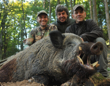 wta_2216_2014_5_Wild Boar_185 kg - 20 cm_Gille B