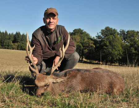 wta_2216_2015_1_ Sika Deer_8 tines_Gold Medal_GillesB.