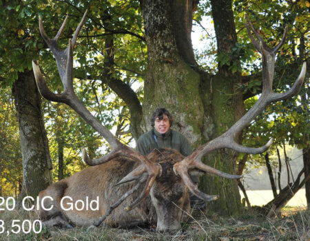 wta_2216_2015_26_Red Stag_220 CIC pts - Gold Medal_Patrick G.