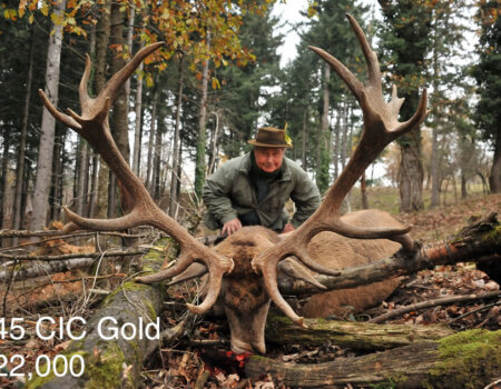 wta_2216_2015_47_Red Stag_245 CIC pts - 359 5--8 SCI pts - Gold Medal_Luis DLP