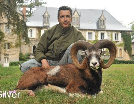 wta_2216_2016_5_Mouflon_197 CIC pts - 123 3_8 SCI pts - Bronze Medal_Nuno P. (1)