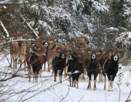 wta_2216_Photo 415-1