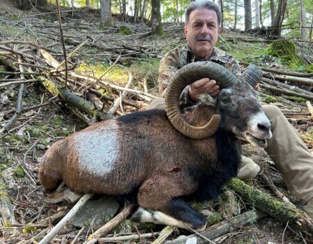 wta_2216_WhatsApp Image 2024-09-19 at 15.34.46