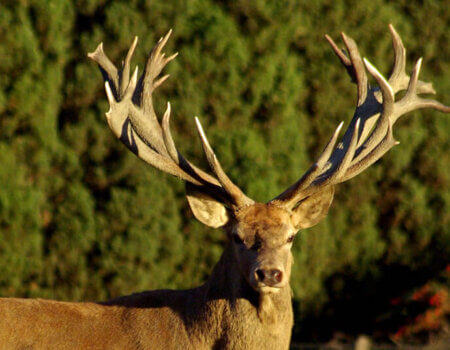 wta_2216_the-game-red-deer-3