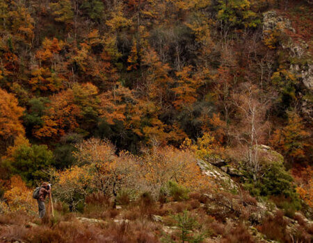 wta_2216_where-we-hunt-1