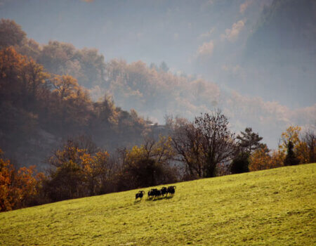 wta_2216_where-we-hunt-2