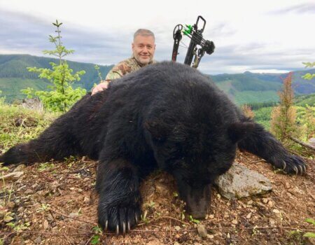 wta_2219_Black Bear 1