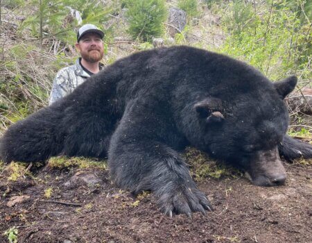 wta_2219_Black Bear #2