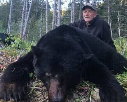 wta_2219_Toms-Bear-1