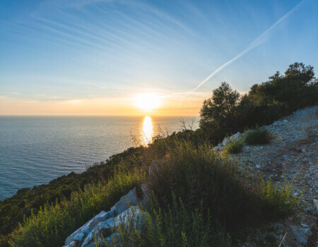 wta_2220_ Croatia 2-1