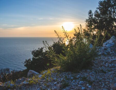 wta_2220_ Croatia 2-19