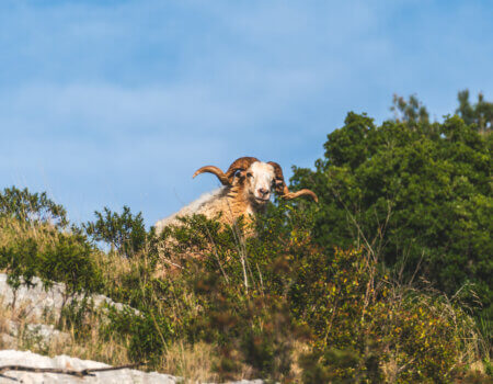 wta_2220_ Croatia 3-6