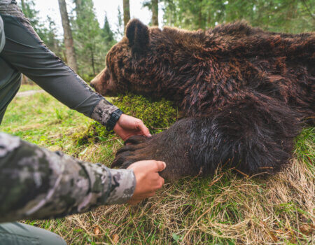 wta_2220_Bear Kill-44