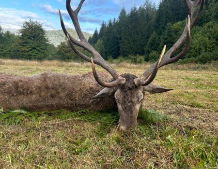 wta_2221_309ef0d0-bd38-4a09-8cf3-cb3ec5d71e58