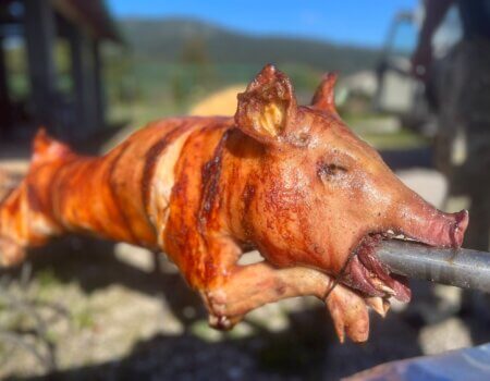 wta_2221_6c5ba18a-6e32-447e-93e2-aa91c731114d