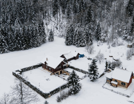 wta_2221_Screenshot 2025-09-08 at 17.41.54