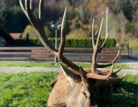 wta_2221_WhatsApp Image 2022-12-17 at 10.14.36