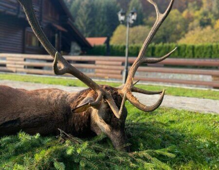 wta_2221_WhatsApp Image 2022-12-17 at 10.14.55