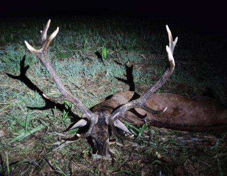 wta_2221_WhatsApp Image 2022-12-17 at 10.15.09