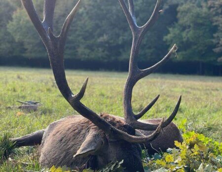 wta_2221_WhatsApp Image 2022-12-17 at 10.15.22