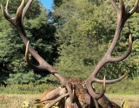 wta_2221_WhatsApp Image 2022-12-17 at 10.16.02