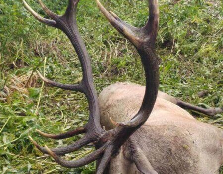 wta_2221_WhatsApp Image 2022-12-17 at 10.16.36