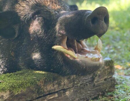 wta_2221_WhatsApp Image 2022-12-17 at 10.53.12 (7)