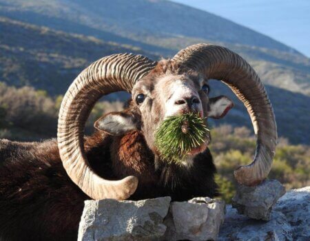 wta_2221_WhatsApp Image 2022-12-17 at 10.53.55