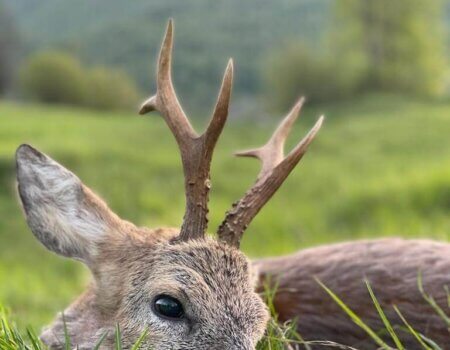 wta_2221_WhatsApp Image 2022-12-22 at 09.56.38