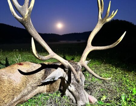 wta_2221_ae9ed3a5-f0a9-49f2-9d93-975f44ad3f9a