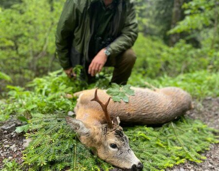 wta_2221_bf473c66-0976-4a94-8934-dd8592268c3a