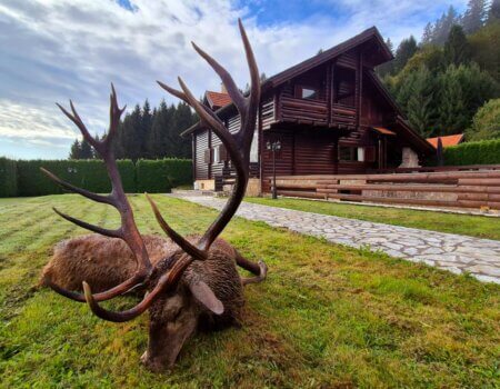 wta_2221_dcc2140a-2b70-416f-bc19-0596dc10dd11