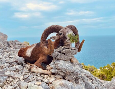 wta_2222_022e2cd1-6de4-473b-b1e2-5ce617ce9053