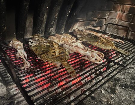 wta_2222_0c46263b-9df1-4246-9eab-f86f0bd71760