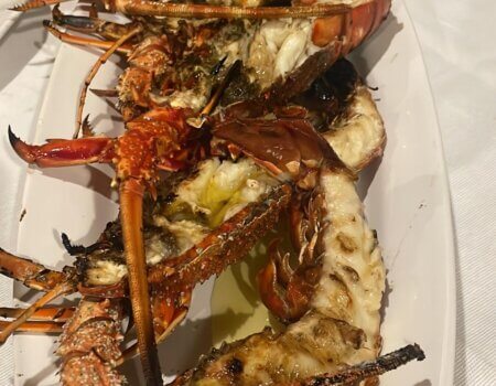 wta_2222_160d5fbd-5142-4832-8f54-2a424cc62e22