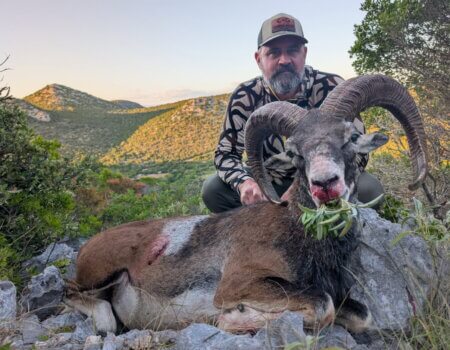 wta_2222_1743184293266994991