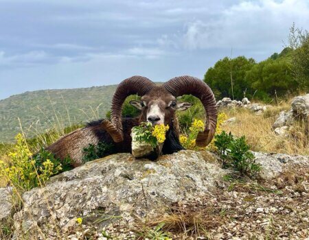 wta_2222_2603b5df-aac6-424f-861d-48d17a93b83d