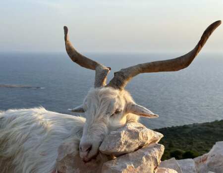 wta_2222_2d56da0d-a670-47c8-9c72-70b2fea2f8f0