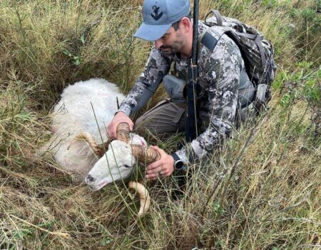 wta_2222_311f95c7-4e6a-4afa-a7ab-50fc6f001744