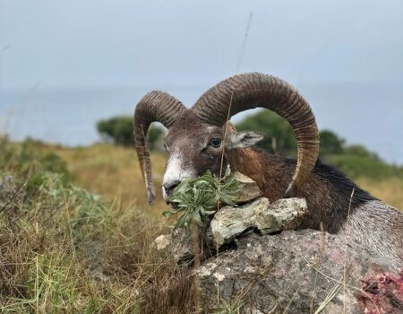 wta_2222_4c98aac0-19f5-4e22-9bb9-052cdae410ce