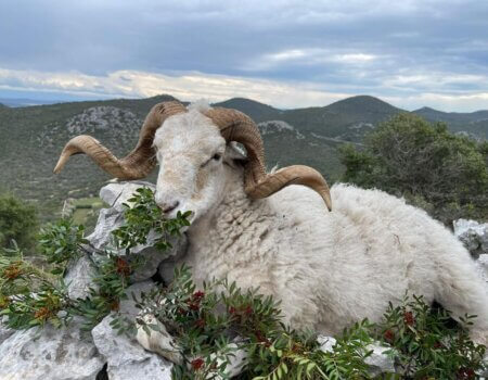 wta_2222_50f7a5aa-e699-4a0c-b53d-f8ed5159dab6