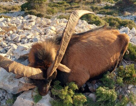 wta_2222_5f379c45-068c-404d-b484-86c590114602