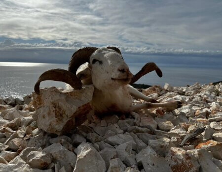 wta_2222_620fbad5-96ed-4b3f-ac41-6b6395518531