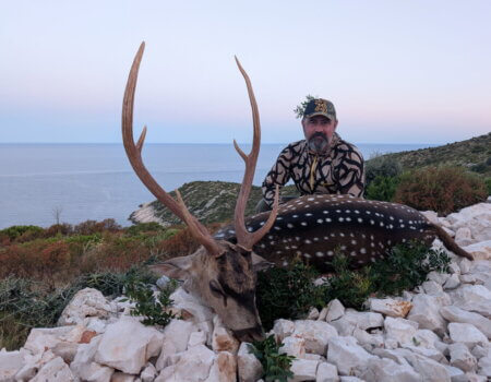 wta_2222_684039803350801852