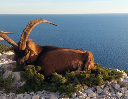 wta_2222_6bf8bff2-819a-4f2d-811b-ab7d0080a016